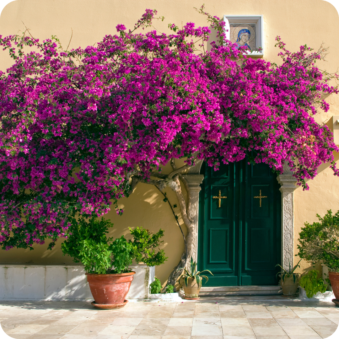 Greek Islands retreat